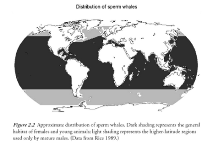 Distribution map of the sperm whale (Physeter microcephalus). From Whitehead, 2003.